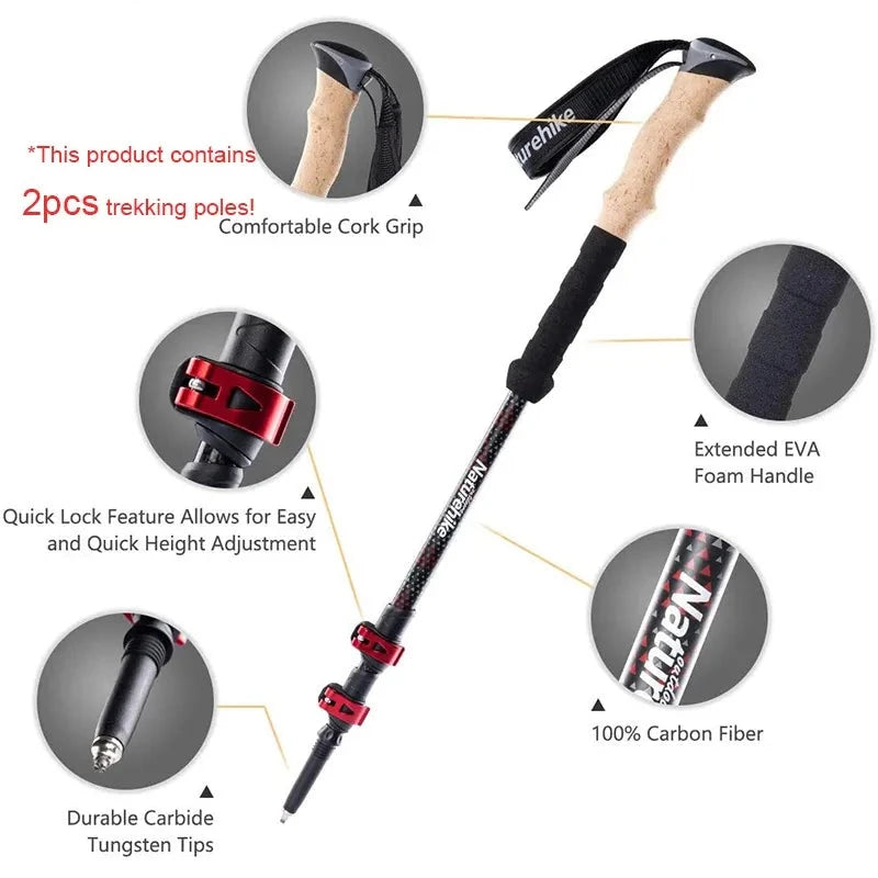 Hiking Stick C